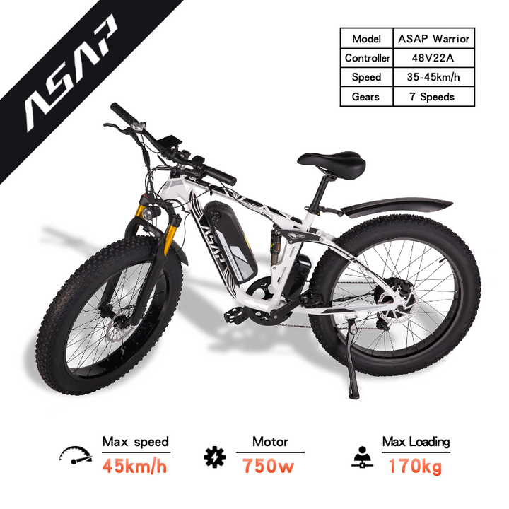 Adult Electric Bike (750W/45KM Range/ 42KMPH Top Speed) White - Worries