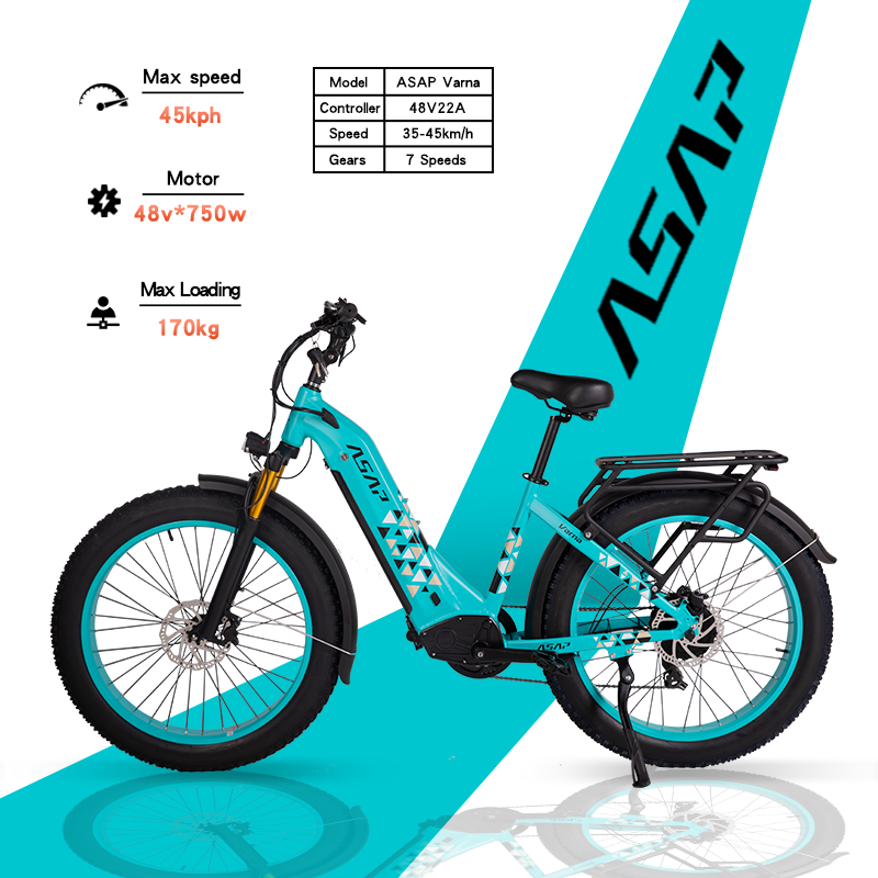 Adult Electric Bike (750W/45KM Range/ 42KMPH Top Speed) Sky Blue - Varna