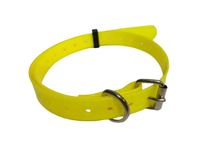 Yellow dog collar with a metal buckle 