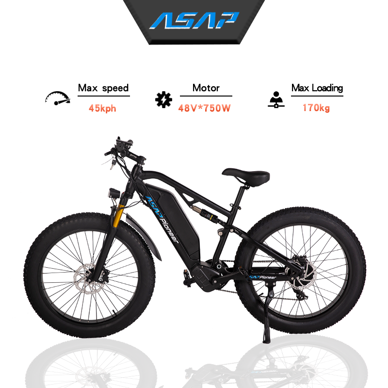 Adult Electric Bike (750W/ 45KM Range/ 42KMPH Top Speed) Black - Pioneer