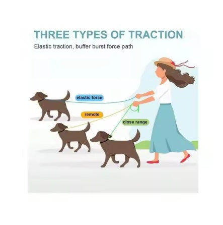 Dog Leash with 3 Types of Traction