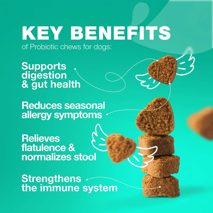 Key Benefits of Probiotic Chews for Dogs