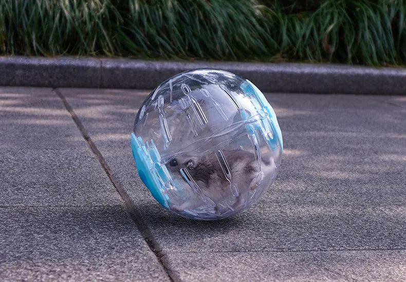 1 pcs Durable Hamster Sports Ball
