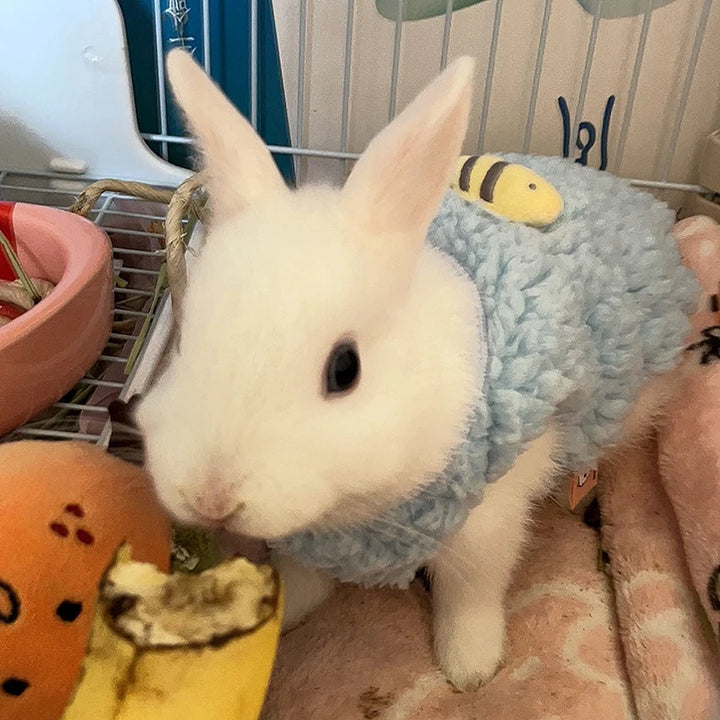 1 pcs Warm Velvet Sweater for Bunnies and Kittens
