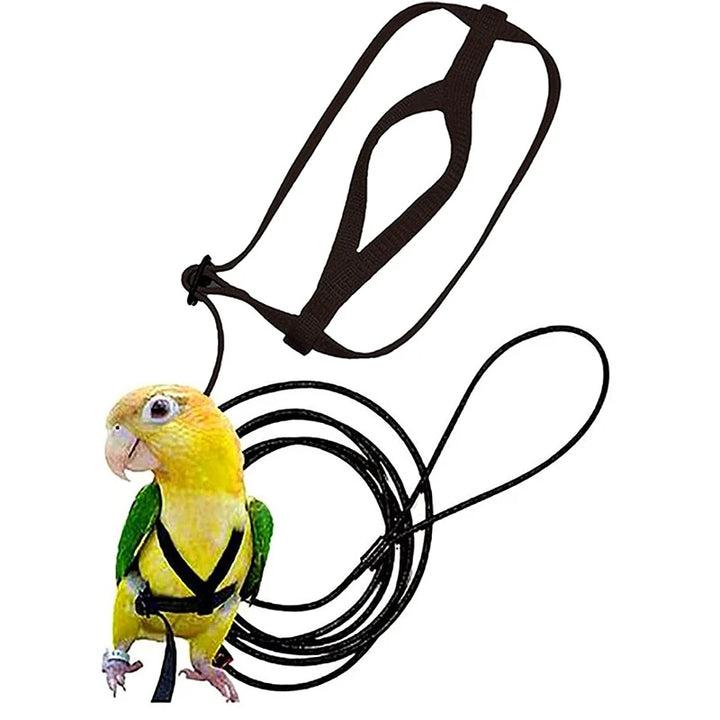 1 pec Parrot Flying Rope with Harness