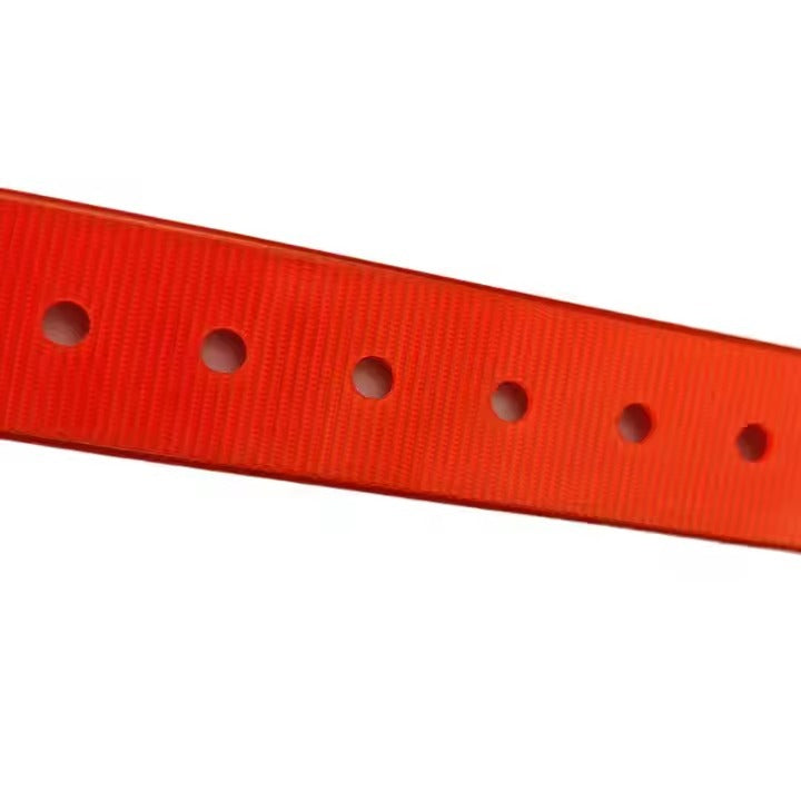 Close-up of a red dog belt with holes