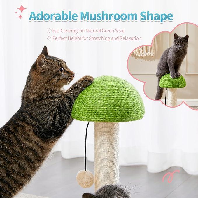 2-in-1 wooden cat scratcher
