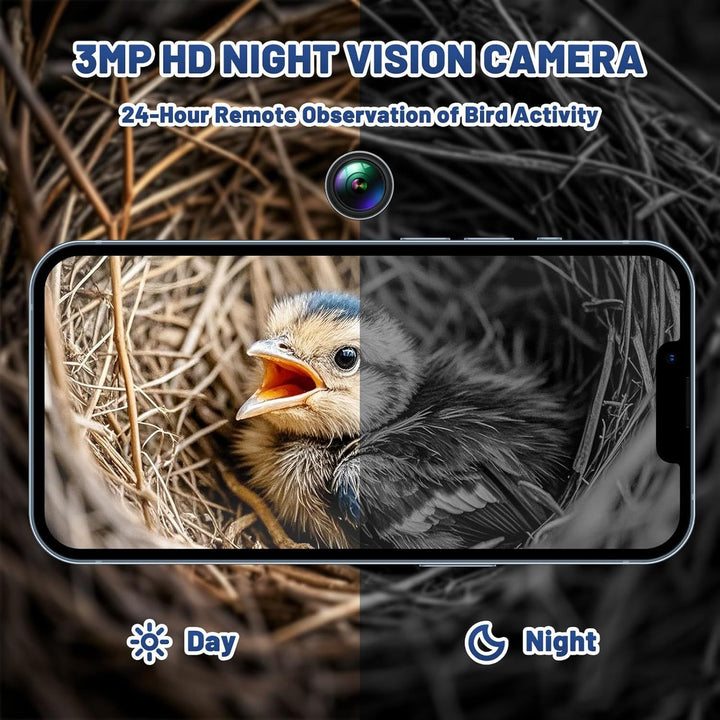 3MP HD Camera Bird Feeder