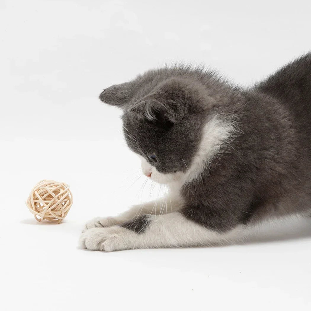 2 Pcs Cat Rattan Ball Toys