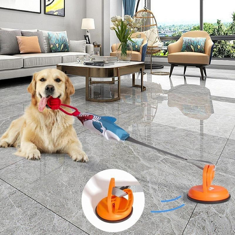 Dog Sitting on Floor and Pull Toy with suction Cup