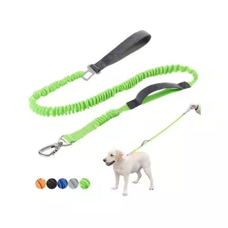 Padded Double Handle Leash