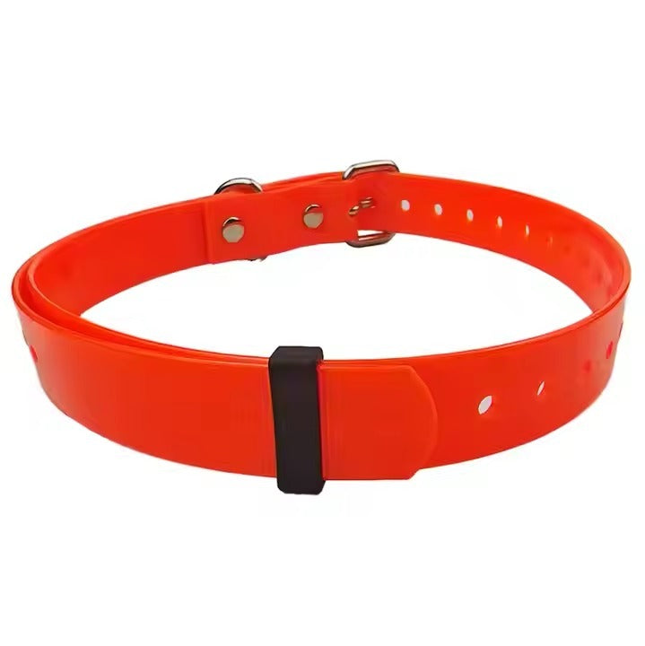 Orange dog collar with a black buckle