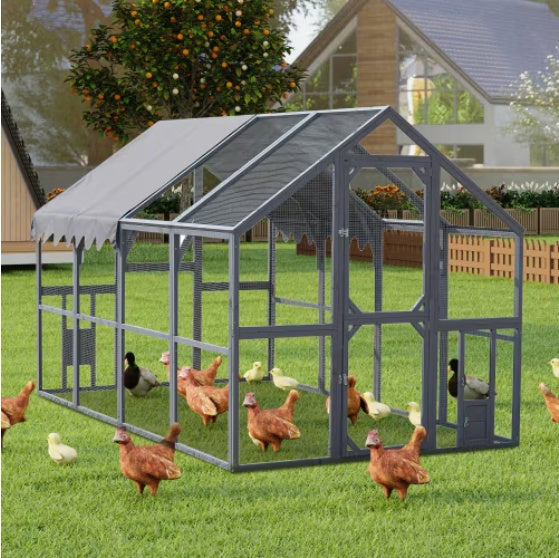 Chicken Coop With Chickens in a Backyard 