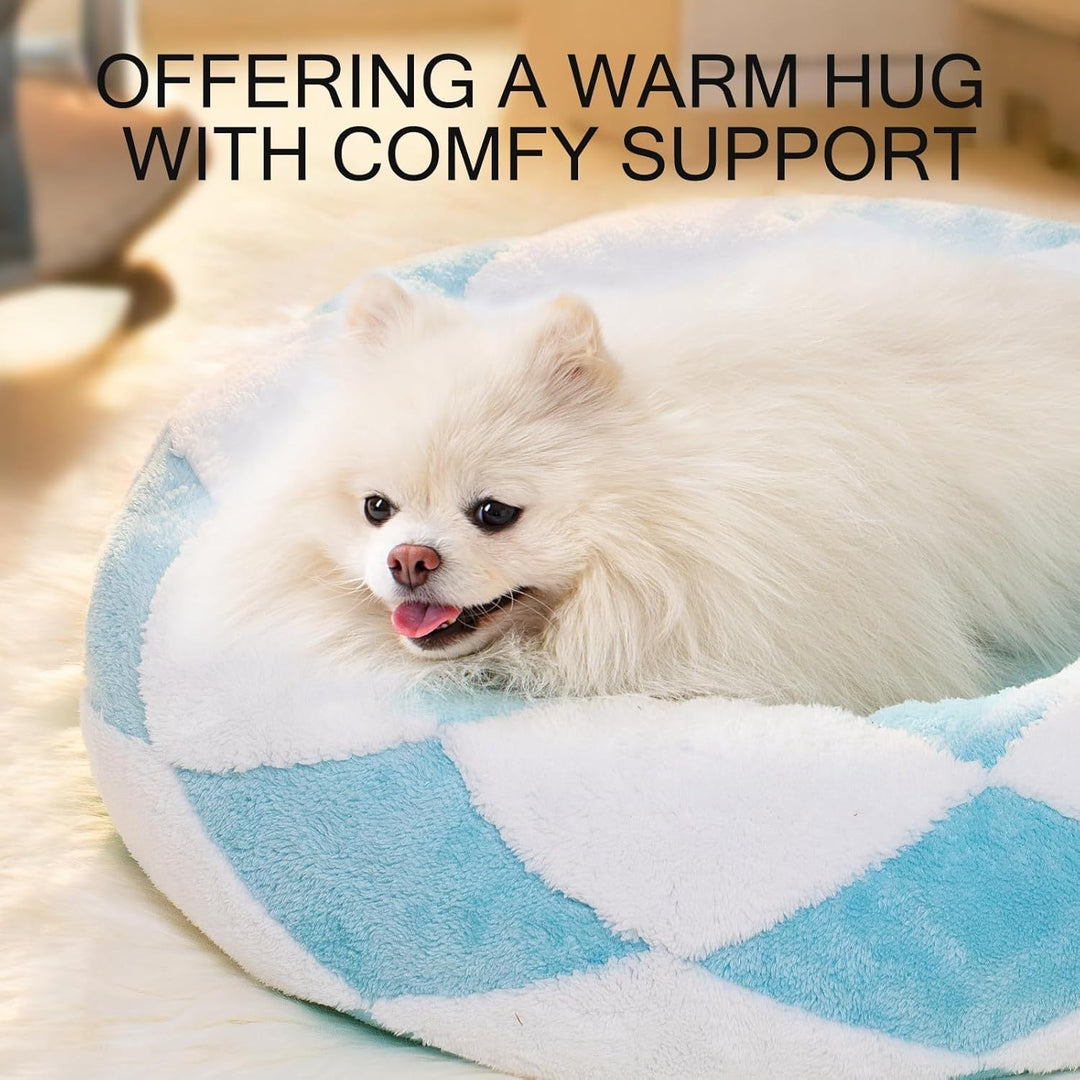 White dog lying on a blue and white pet bed 
