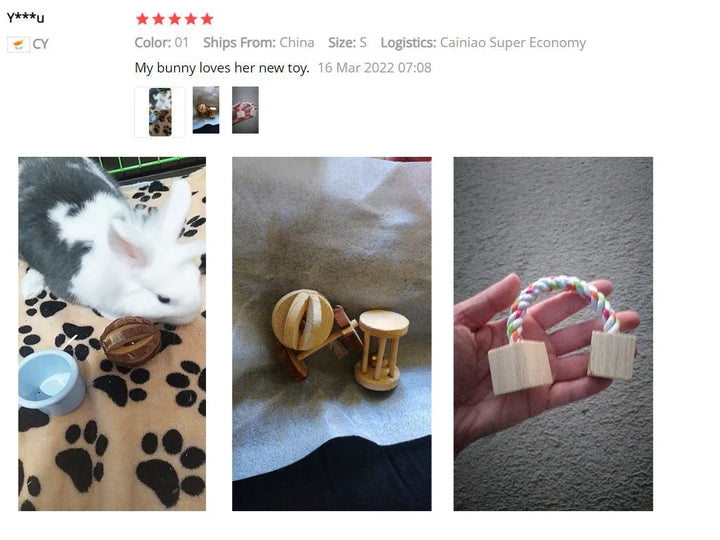 3 pcs Guinea Pig Wooden Roller
