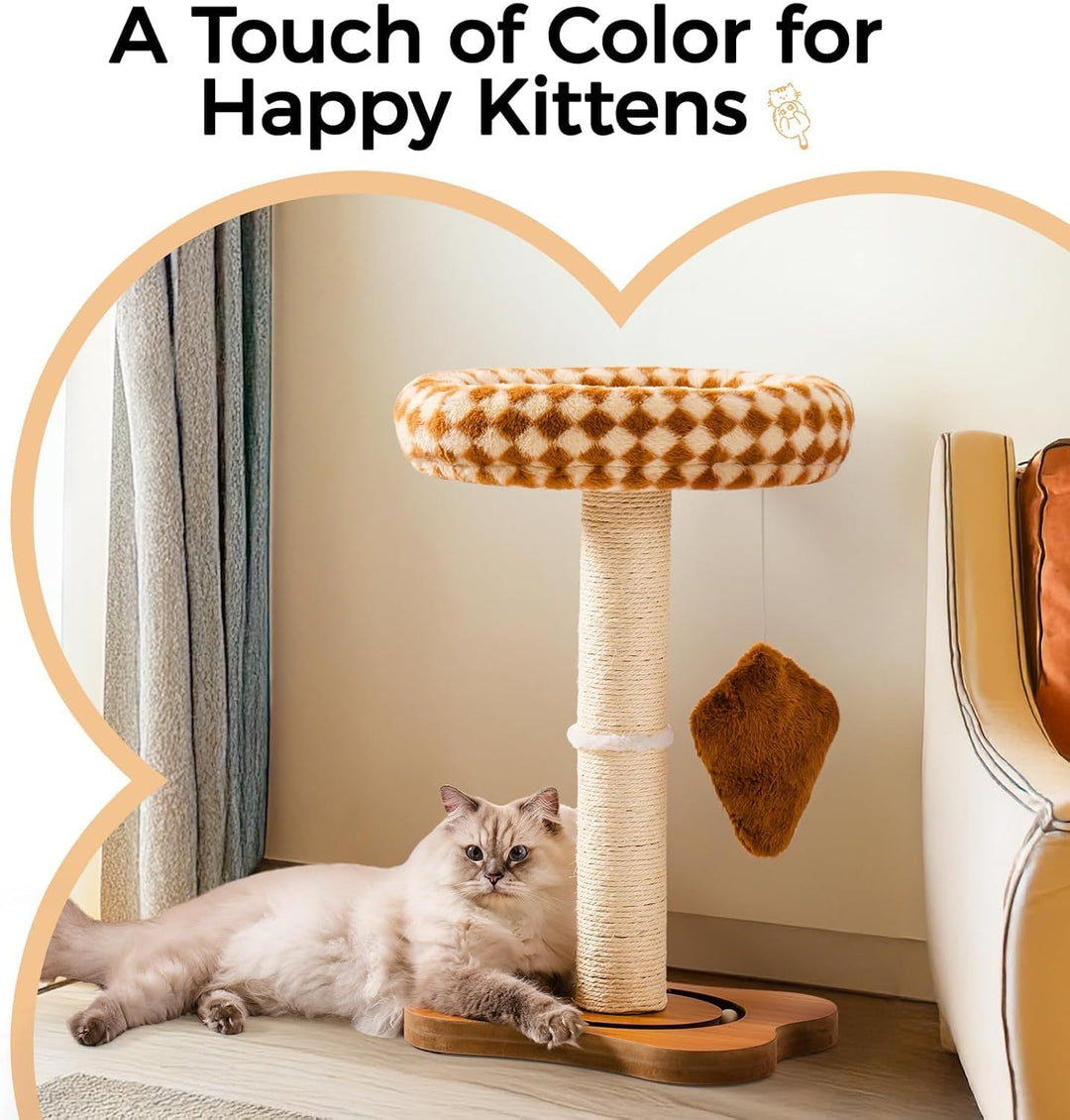 Cat scratching post with cozy bed