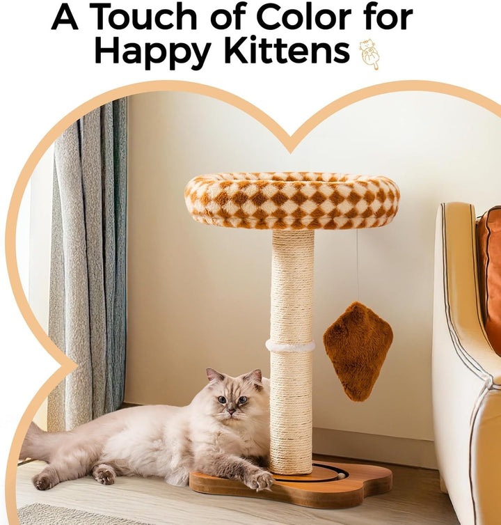 Cat scratching post with cozy bed