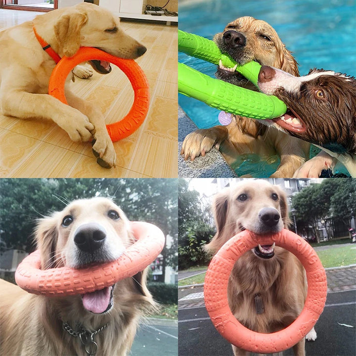 4 pcs Interactive Dog Training Ring Toy
