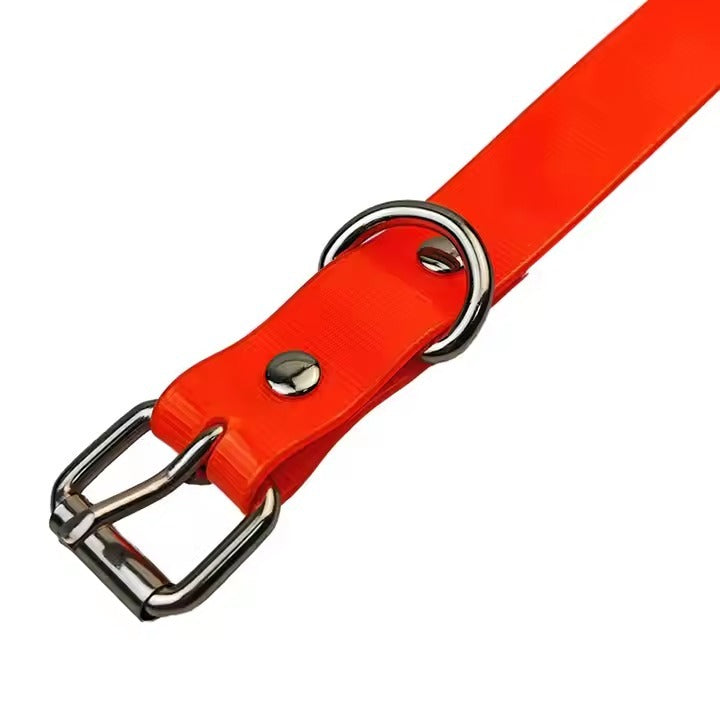 Red dog collar with silver buckle