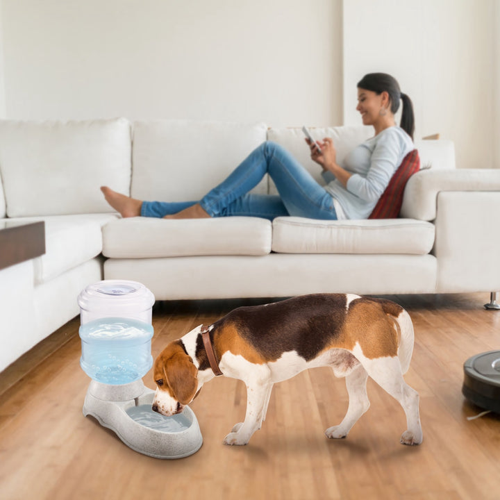 Indoor Pet Water Feeder