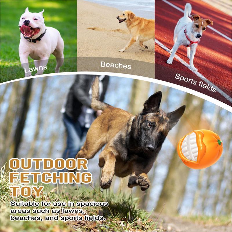 Outdoor Fetching Dog Toy