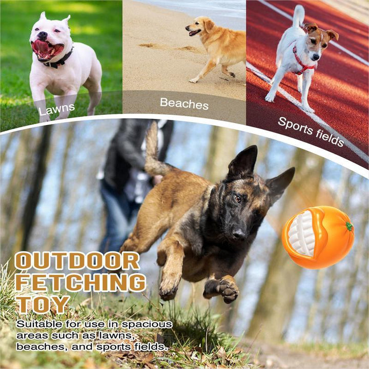 Outdoor Fetching Dog Toy