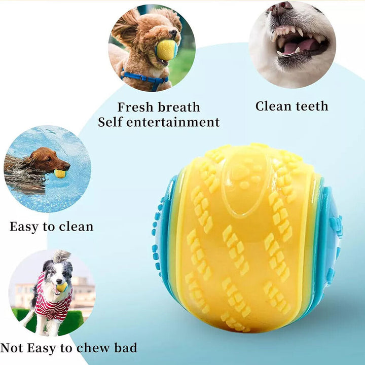 Scooby-Doo Dog Ball Set