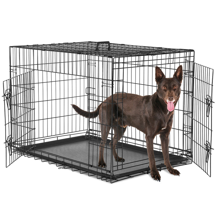Double Door Dog Crate