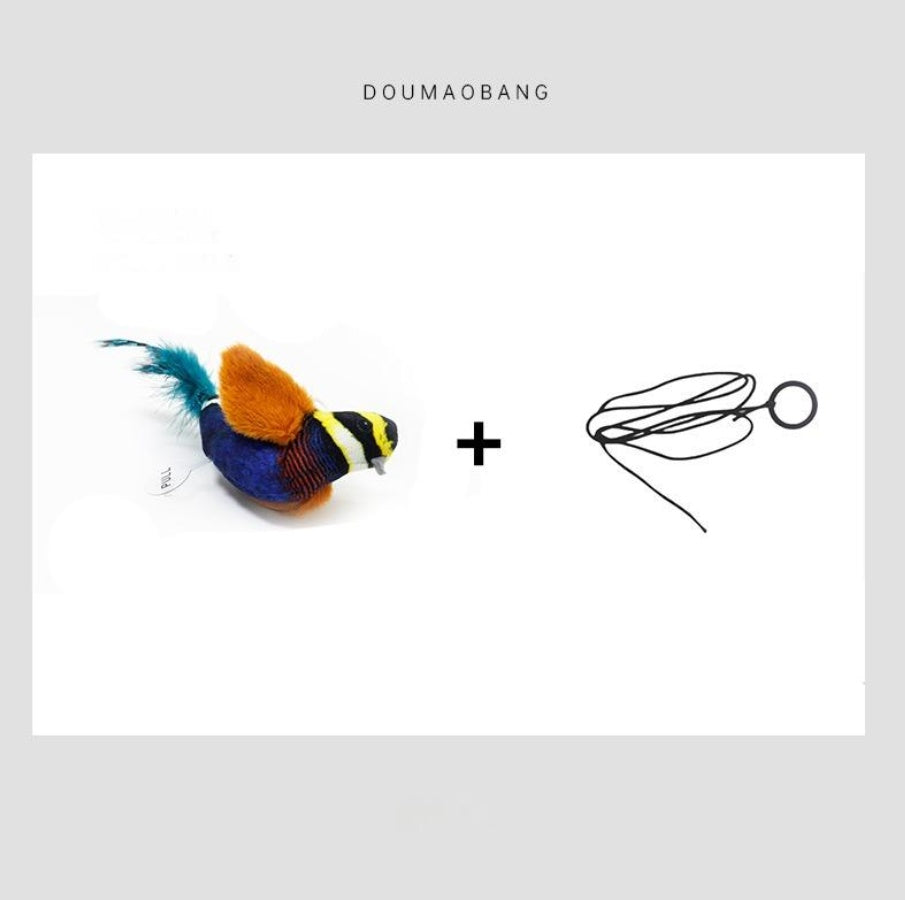 Five Coloured Parrot Cat Teaser Toy