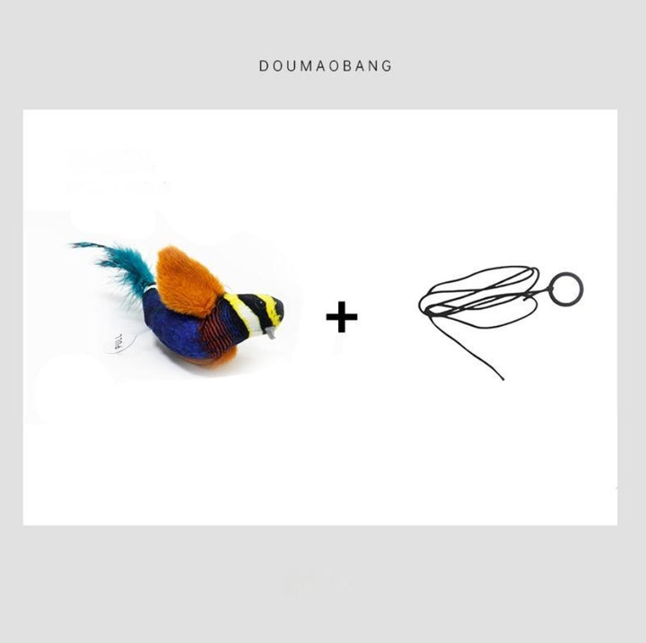 Five Coloured Parrot Cat Teaser Toy