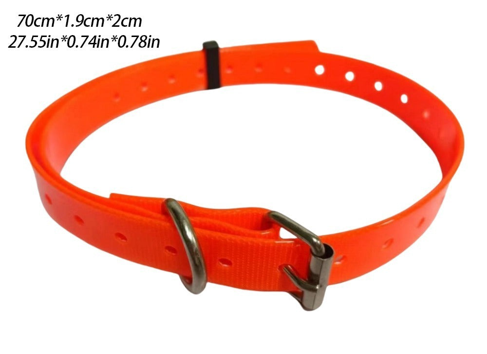 Orange dog collar with metal buckle
