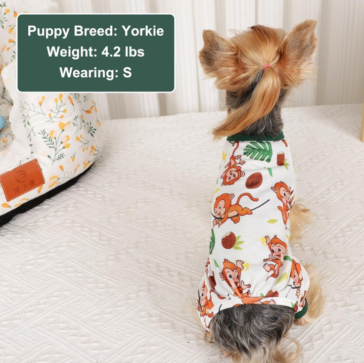Cute Small Puppy Breed Yorkie Outfit