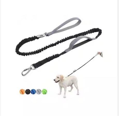 Car Seat Belt Dog Leash