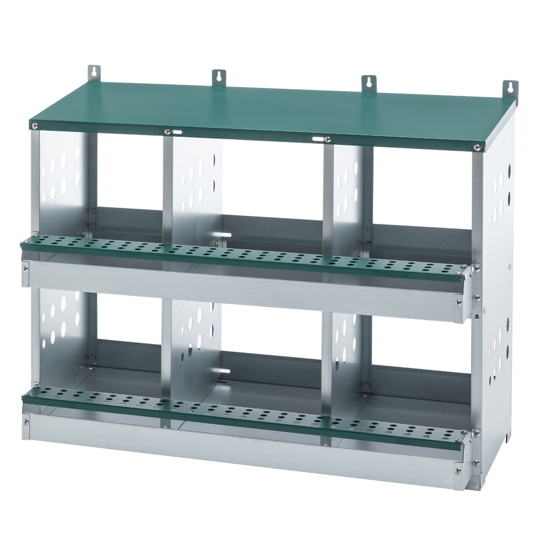 6 bay chicken egg laying box