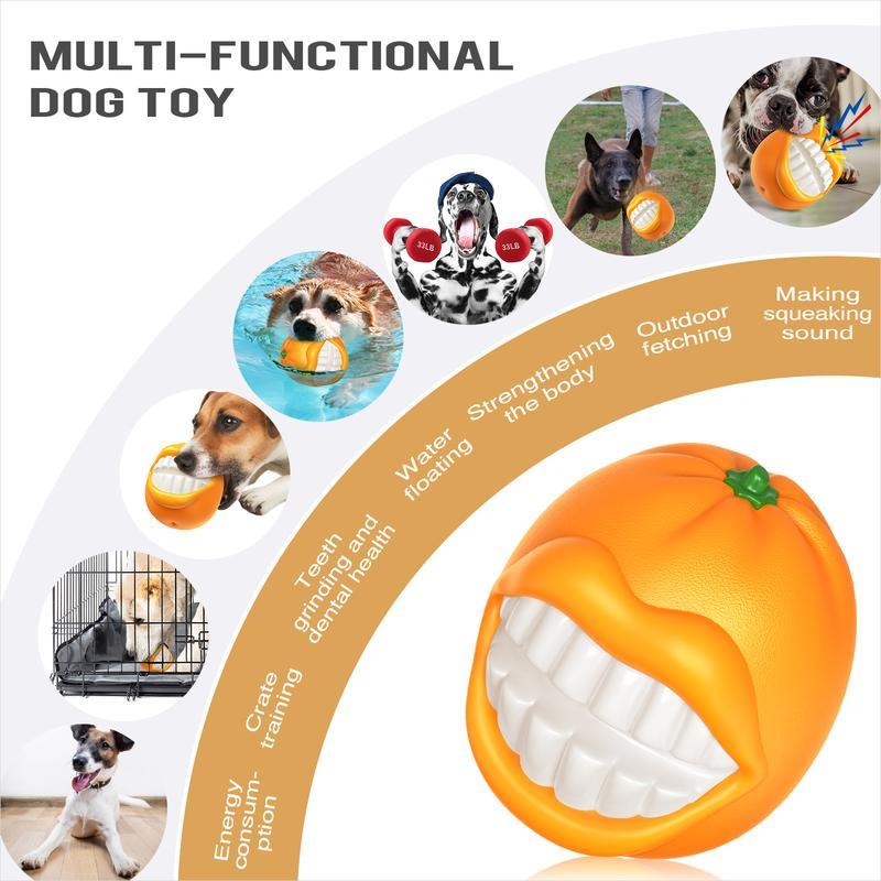 Multi-functional Dog Toy