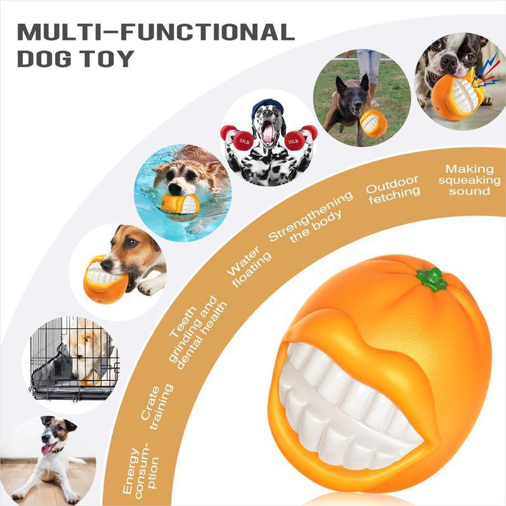 Multi-functional Dog Toy