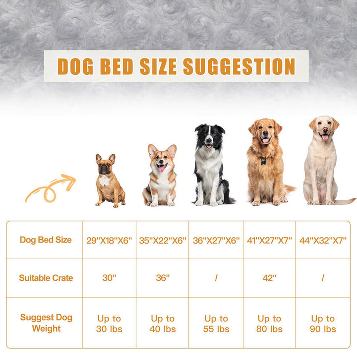 Dog Bed Size Suggestion