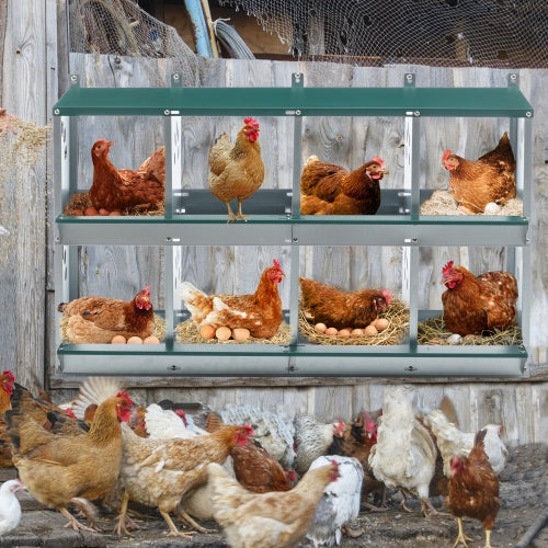 8 compartment metal chicken nesting boxes