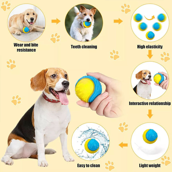 Benefits of Squeaky Dog Balls