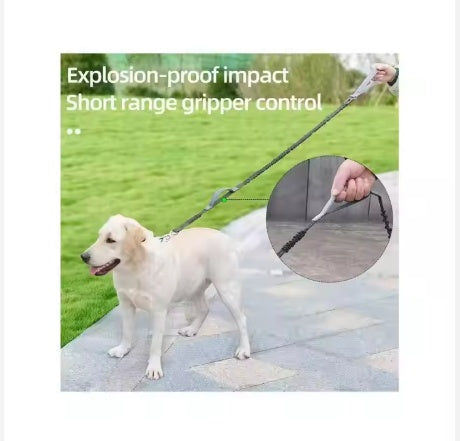Explosion Proof Pet Leash