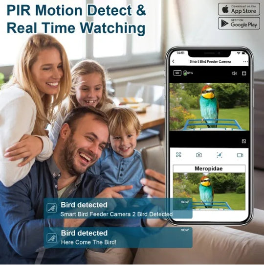 AI identify smart bird camera feeder