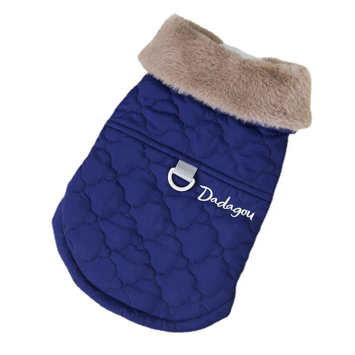 A Blue Color Fur Collar Dog Jacket for Puppies