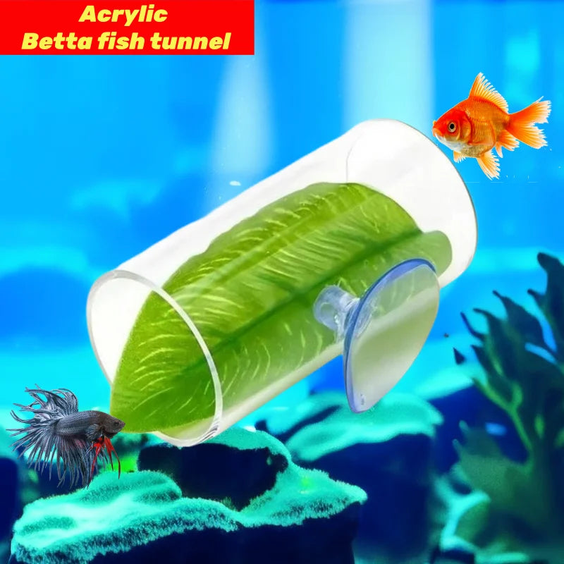 Acrylic tube for Betta fish