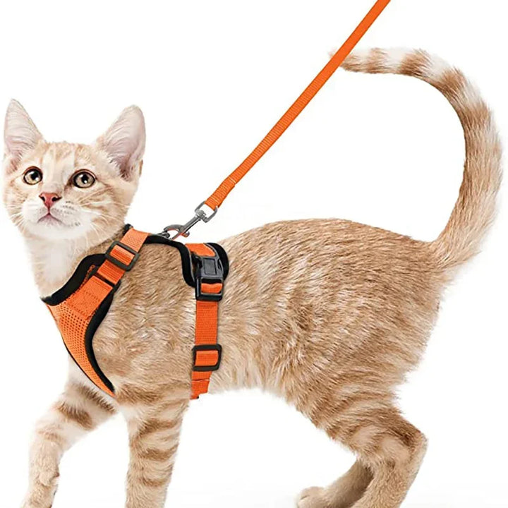 Adjustable Escape-Proof Harness