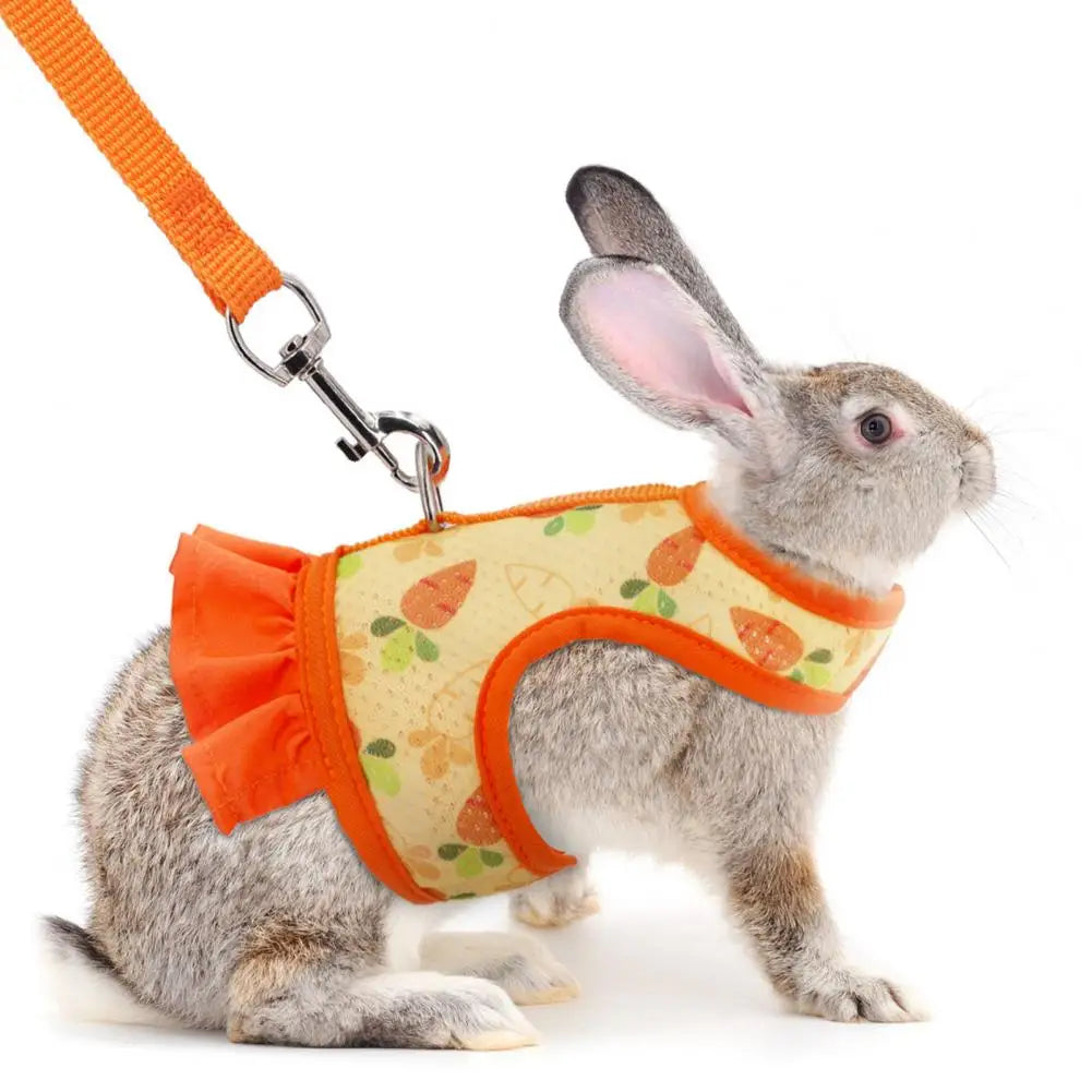 Adjustable Guinea Pig Harness
