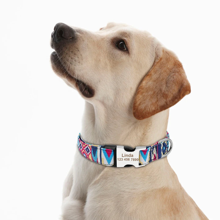 Adjustable Nylon Pet ID Collar