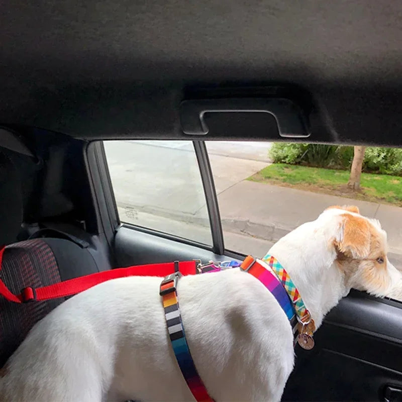 Adjustable Pet Backseat Belt