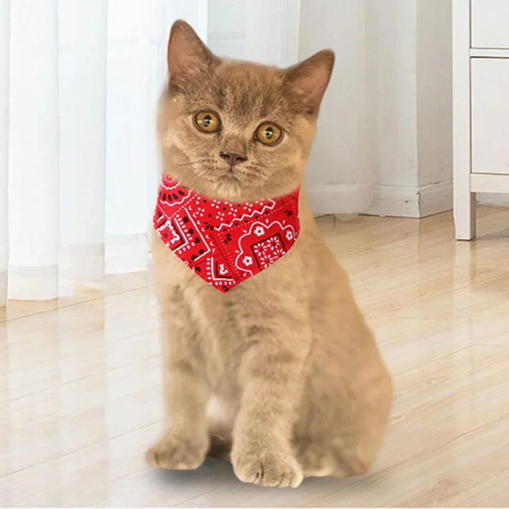 Adjustable Pet Scarf Collar
