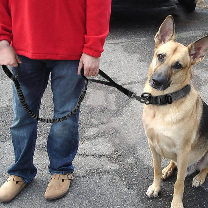 Adjustable Pet Training Collar with Nylon Lead
