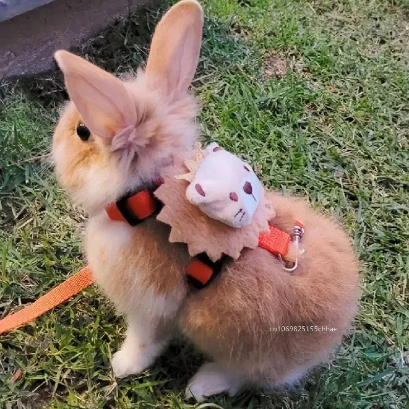 Adjustable Rabbit Harness with Leash
